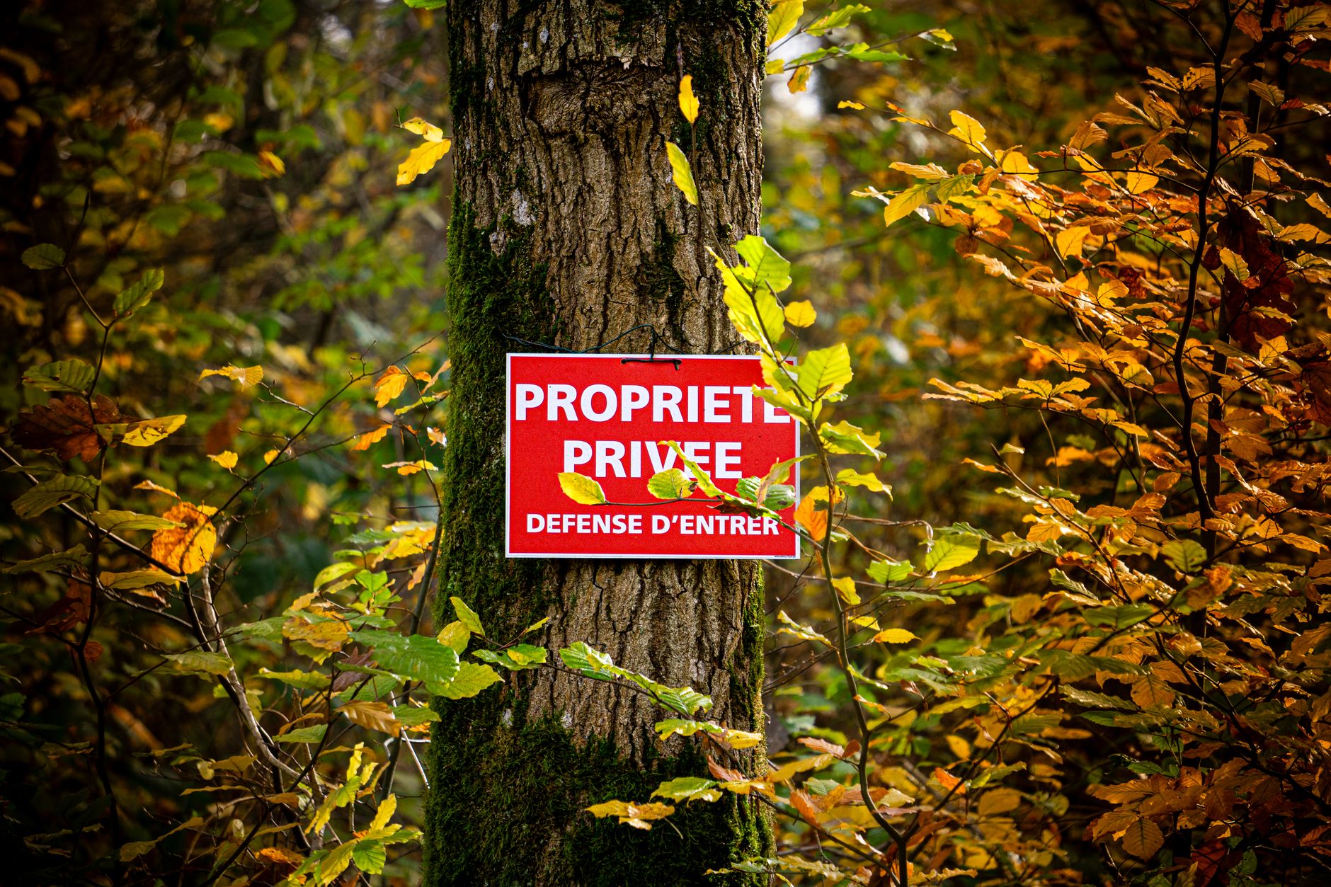 Détective privé à Villeurbanne